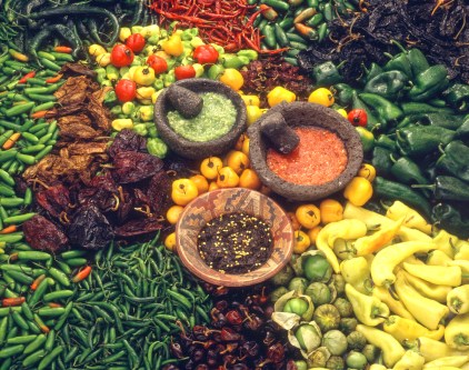 culture-et-patrimoine-04-la-gastronomie51498c7035a37